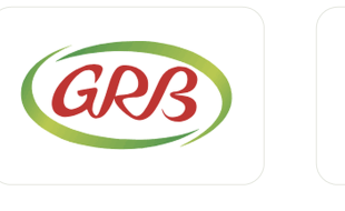 GRB logo